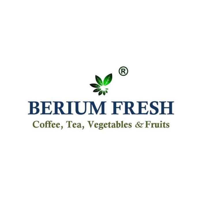 Berium Group