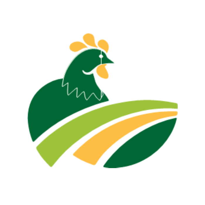 Dheiton Ventures Limited (DVL)