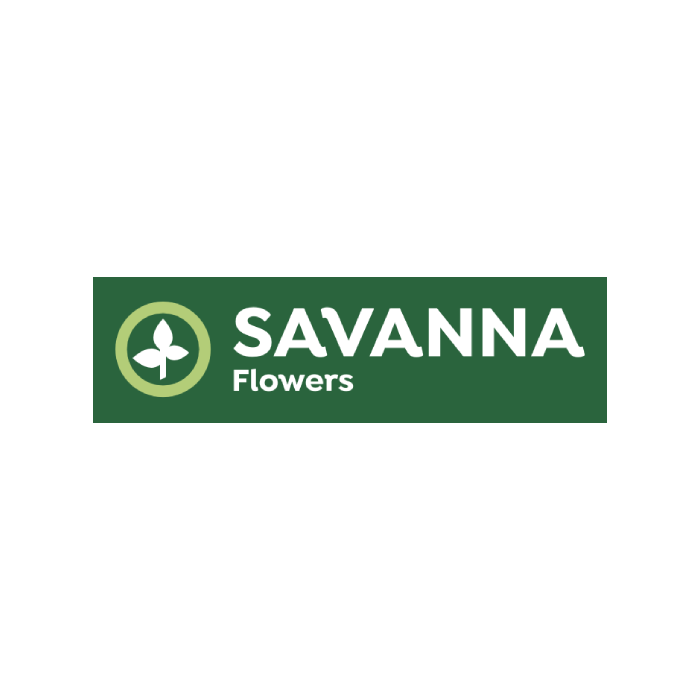 Savanna Flowers