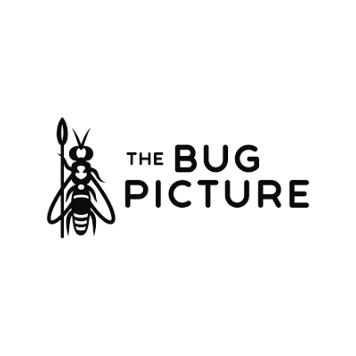The Bug Picture