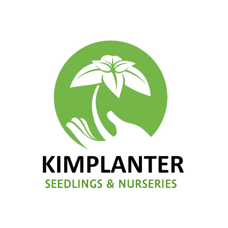 Kimplanter Seedlings & Nurseries Ltd