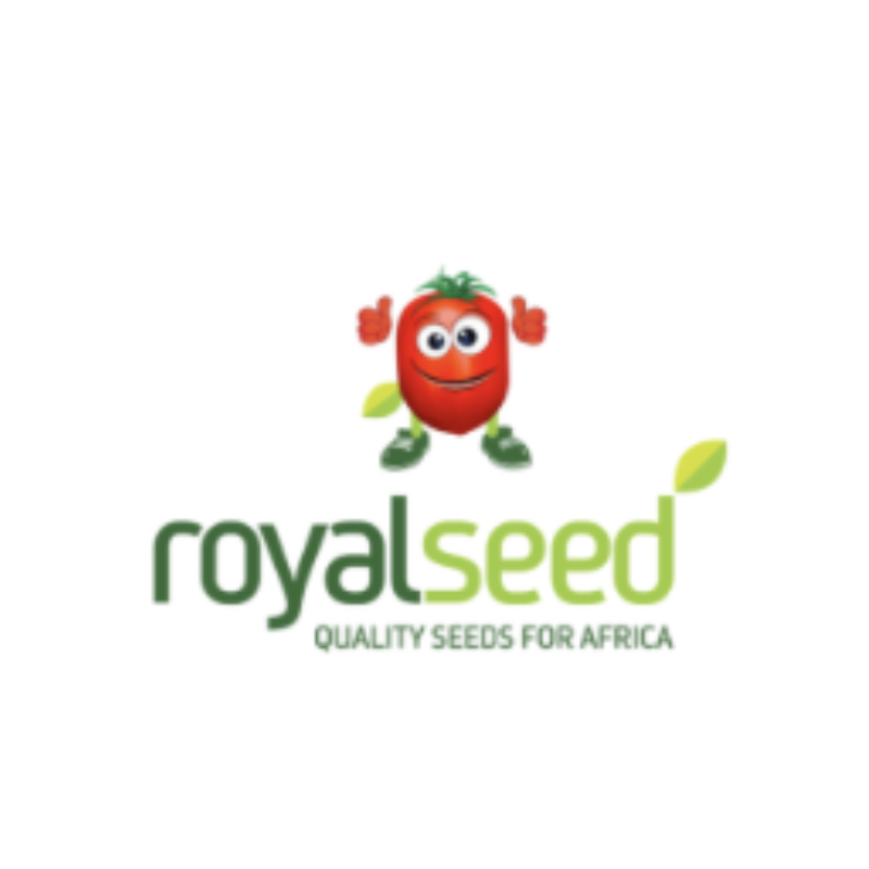 Royal Seed (Kenya Highland Seed)