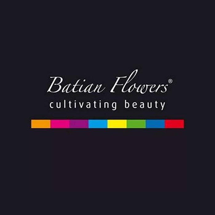 Batian Flowers Ltd
