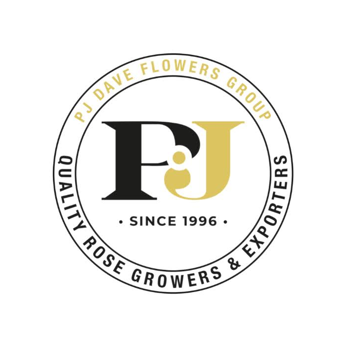 PJ Dave Group